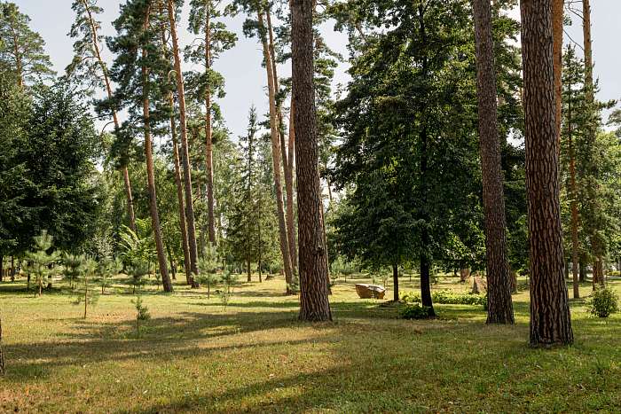 Лесопарковая зона 19 Га